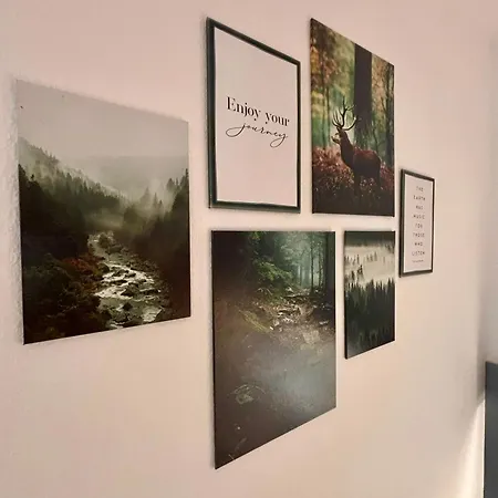 Lejlighed Schoene Mit Schwimmbad, Sauna Und Balkon Braunlage